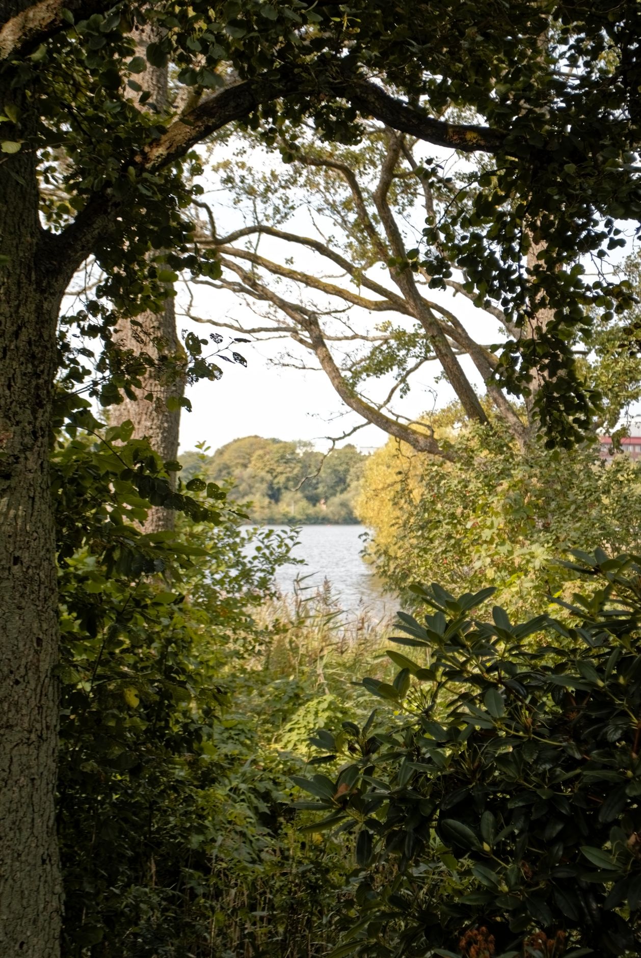 Växjö 7