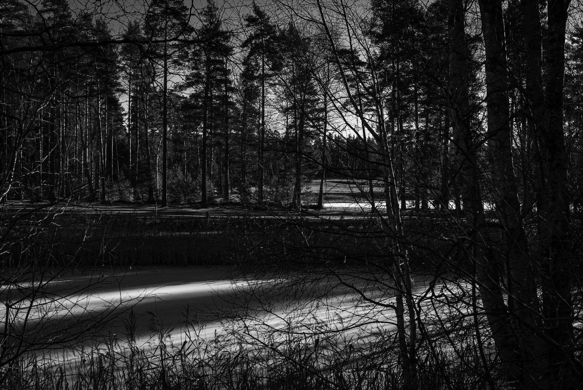 Vetlanda 2