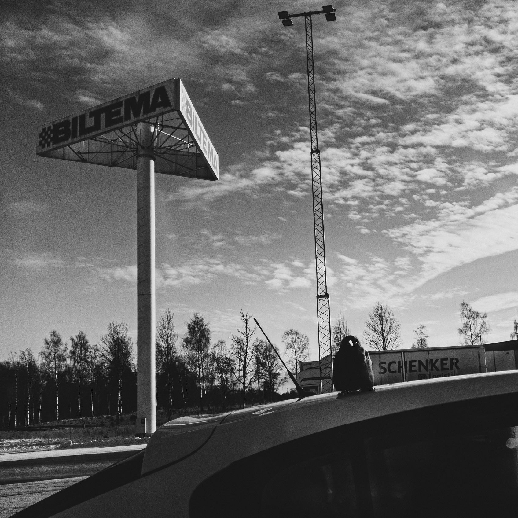 Vetlanda 6